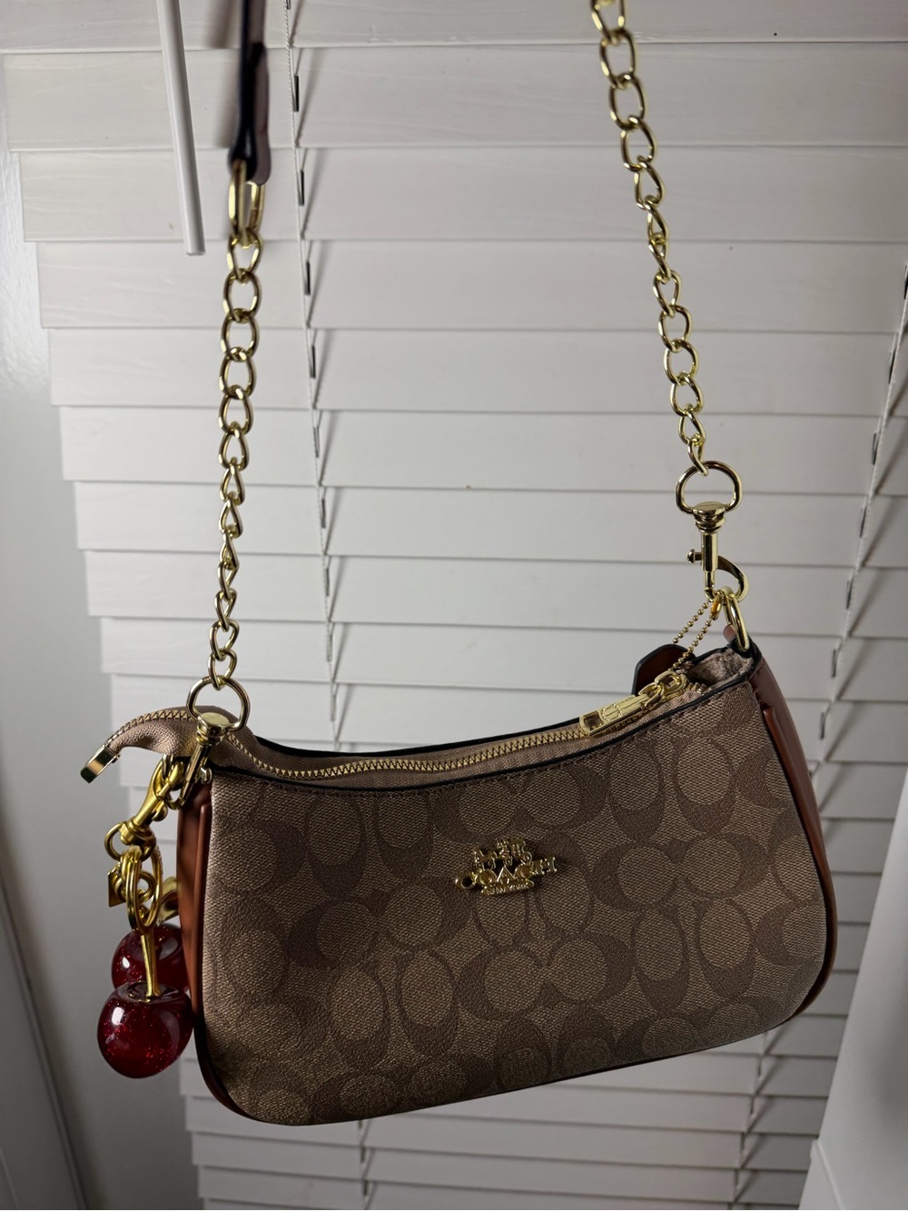 Coach Signature Canvas Crossbody in Brown with Gold Hardware